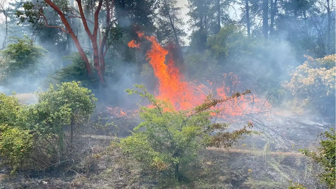 Man arrested after multiple fires set in Nanaimo