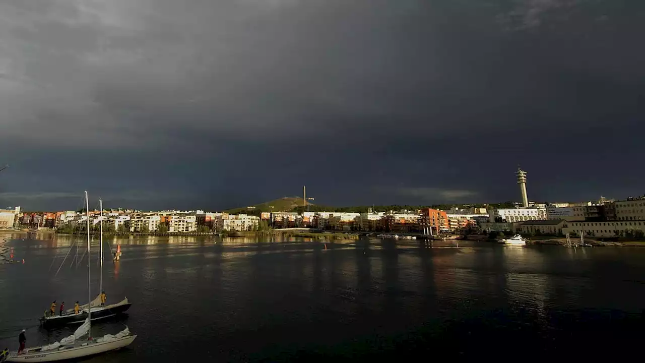 Höststorm att vänta på bomarknaden