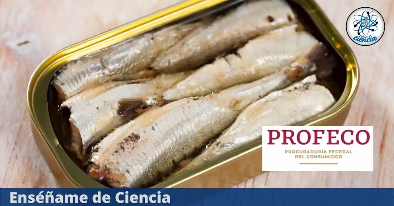 Esta sardina enlatada es mejor y más barata que la de Dolores y Tuny, según PROFECO