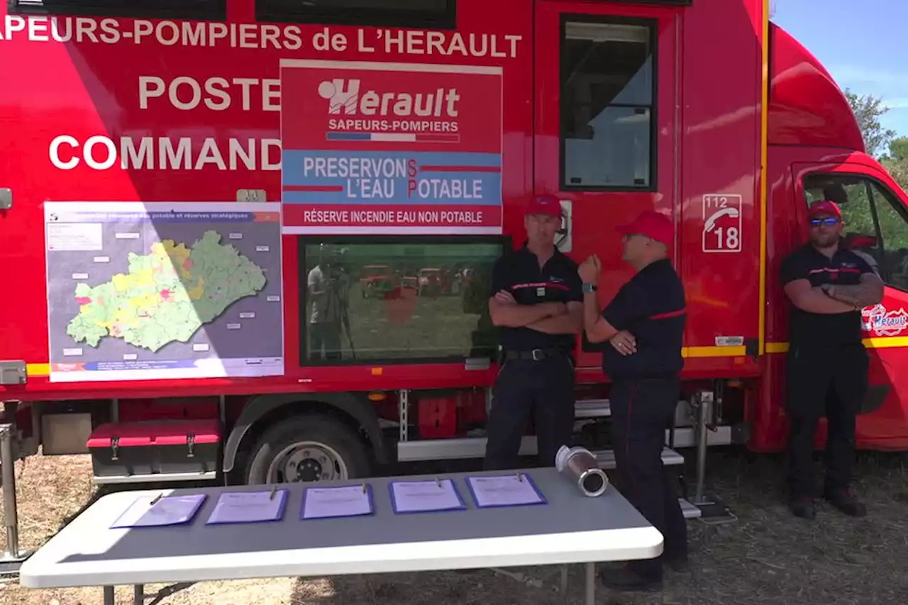 Lutte contre les feux de forêt : des moyens plus adaptés au changement climatique pour les pompiers de l'Hérault