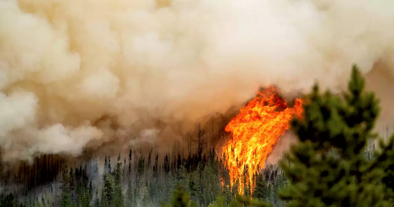 I fumi degli incendi canadesi hanno raggiunto pure l’Italia - Il Fatto Quotidiano