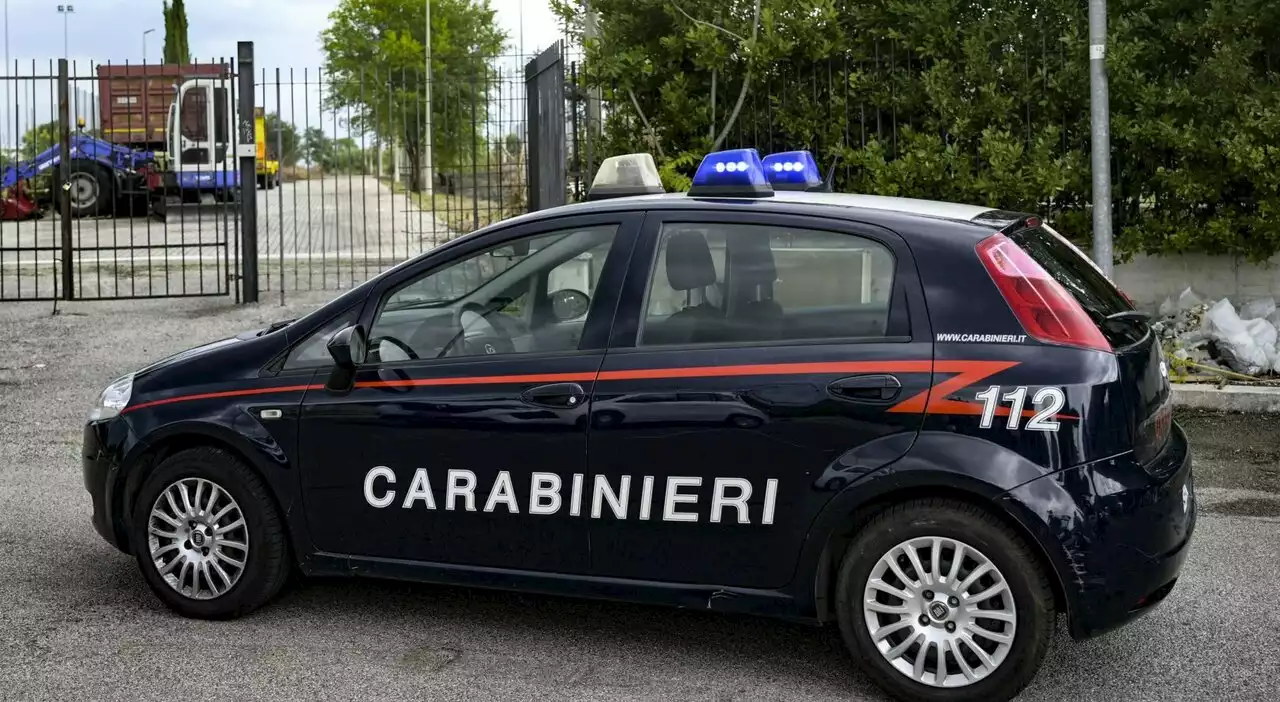 Stacca a morsi l'orecchio destro della compagna, poi la prende a calci e pugni: choc a Reggio Emilia