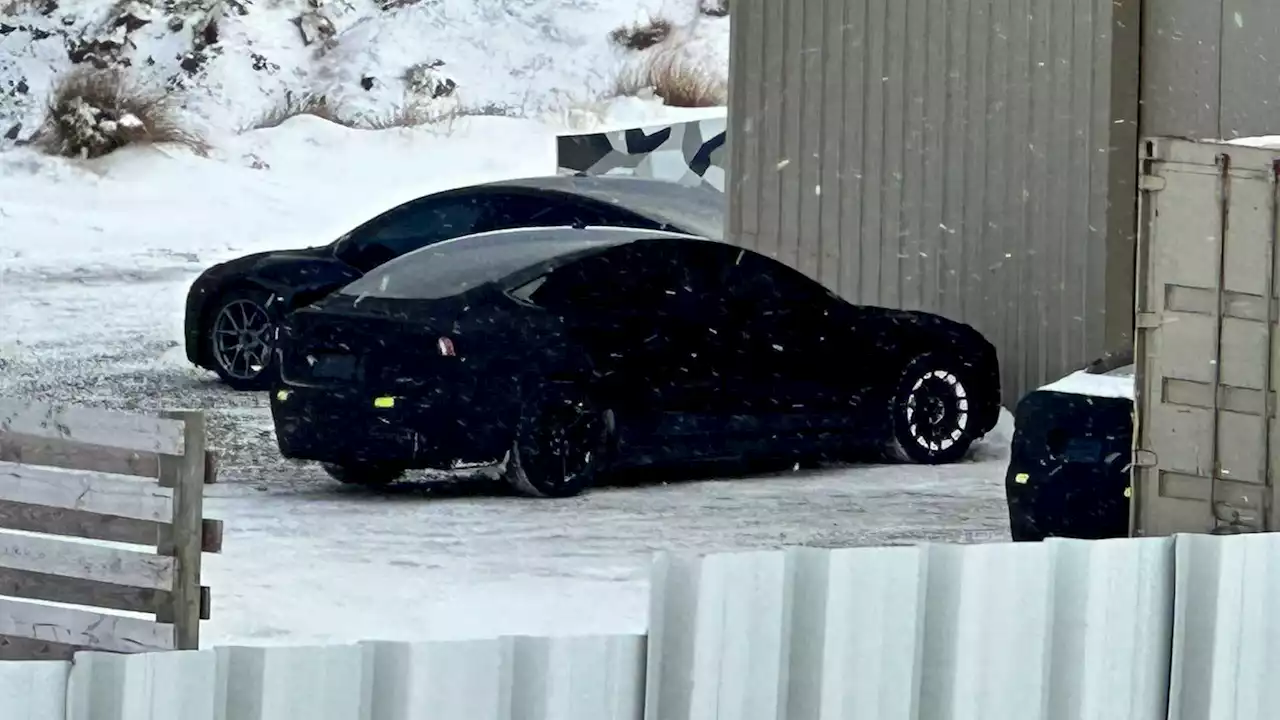 Multiple Tesla Model 3 Highland Prototypes Spotted In New Zealand