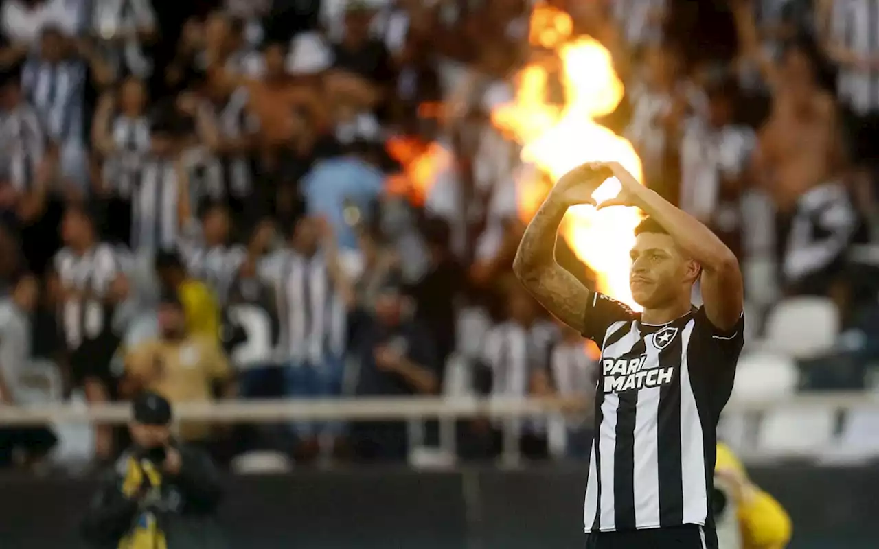 Luis Henrique exalta torcida do Botafogo no clássico: 'Estava muito arrepiado' | Botafogo | O Dia