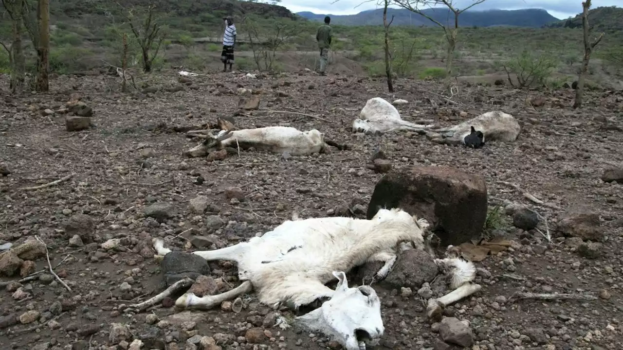 El Niño ist da - und heizt die Erde weiter auf