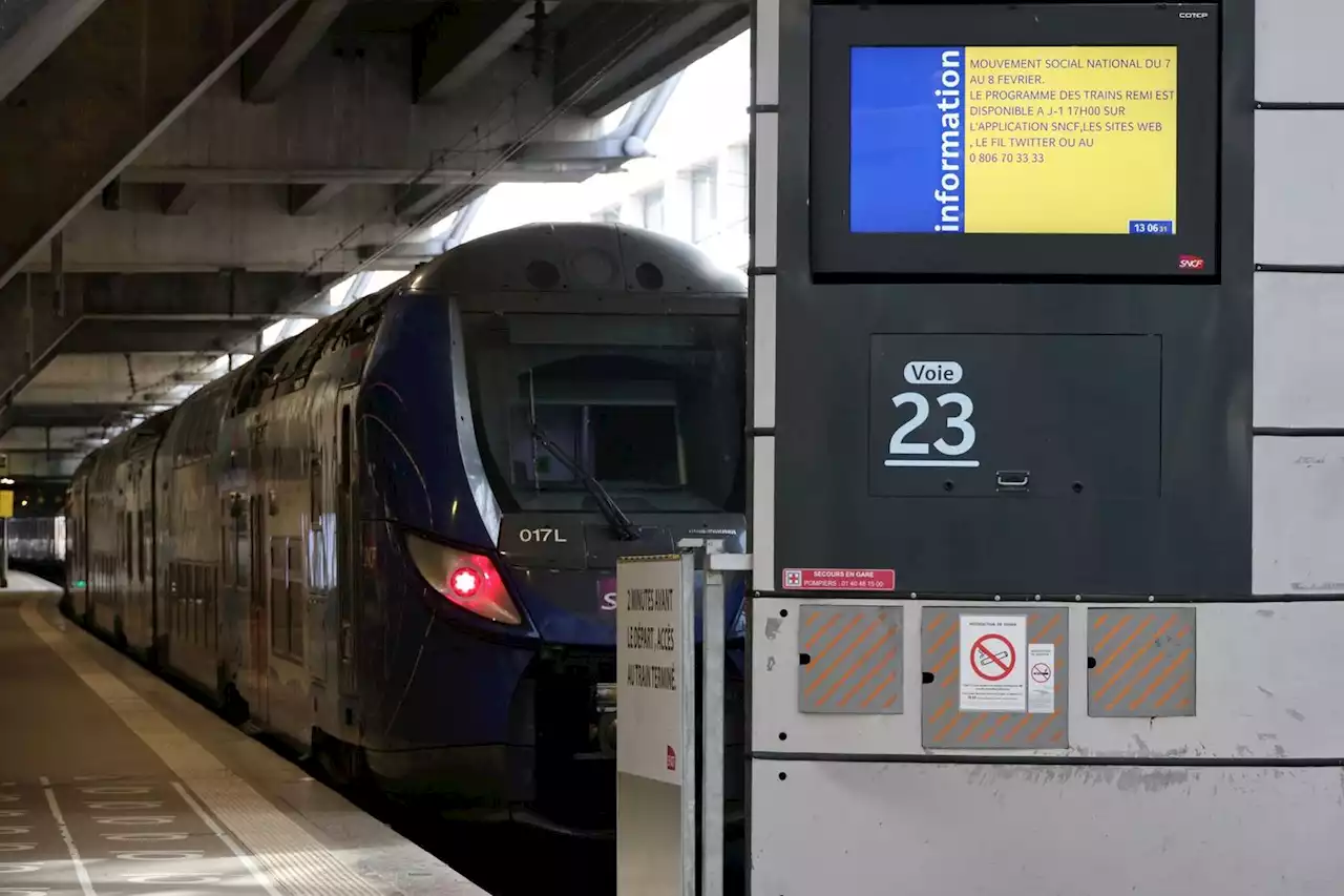 Chat tué par un TGV : la SNCF condamnée à 1 000 € d’amende