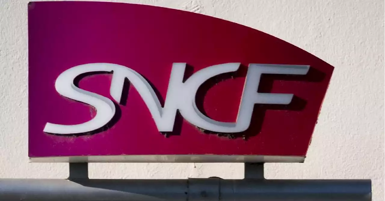 Chat écrasé par un TGV à Paris : la SNCF condamnée à une amende de 1 000 euros