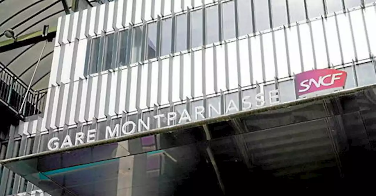 Chat écrasé à Montparnasse : la SNCF condamnée à 1 000 euros d’amende