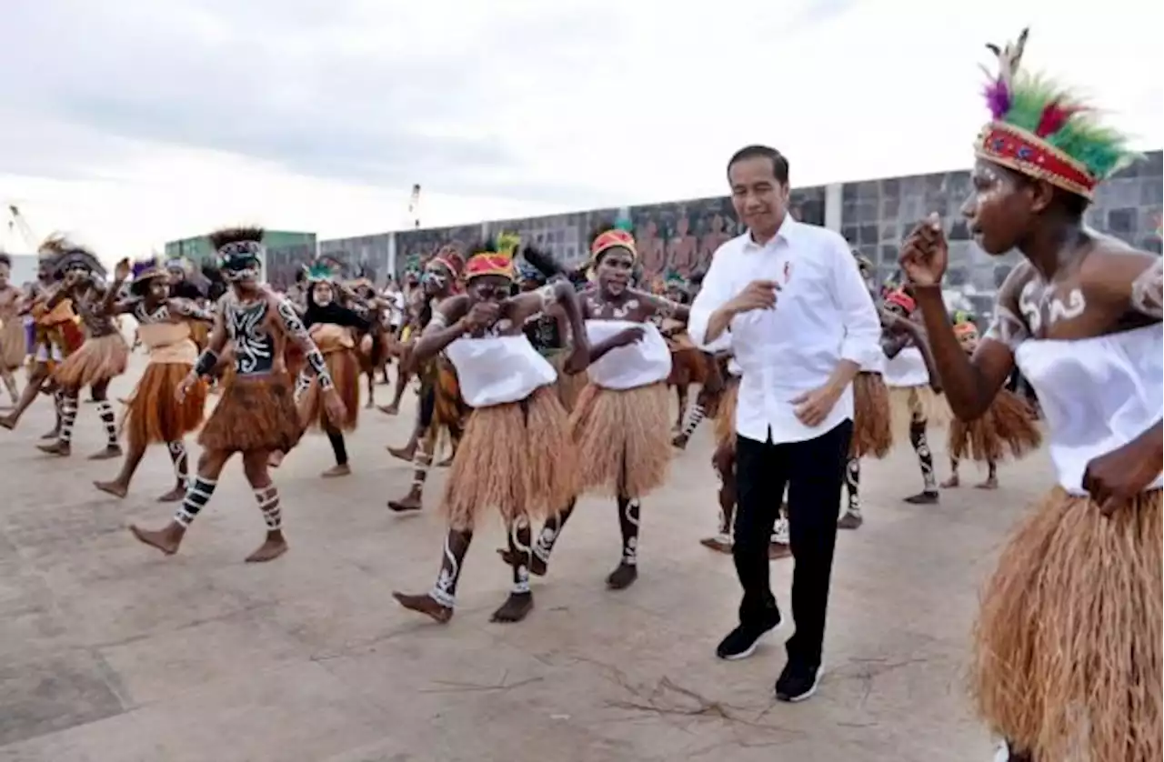 Presiden akan Kunjungi Papua dan Papua Selatan Pekan Ini