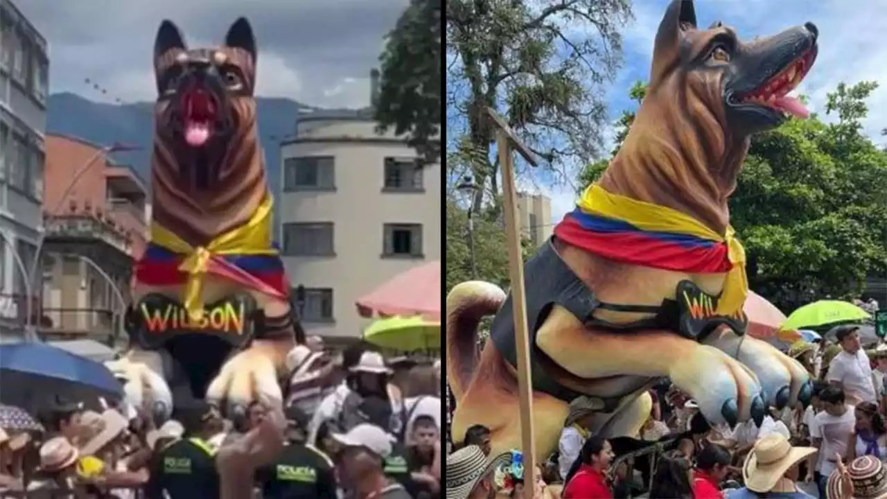 Video. Con una enorme estatua le hicieron un homenaje al héroe Wilson en Ibagué