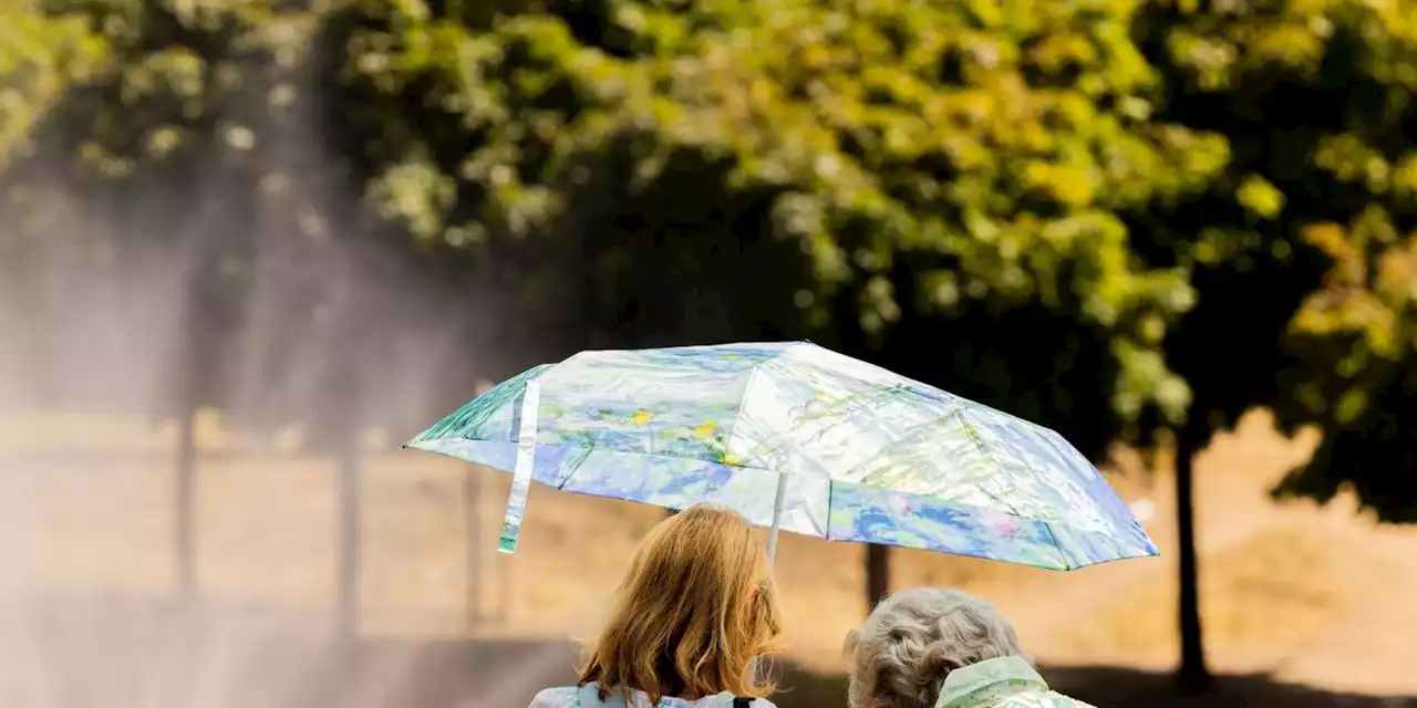 So heiß wie noch nie in diesem Jahr: Am Wochenende kommt die Hitzewelle