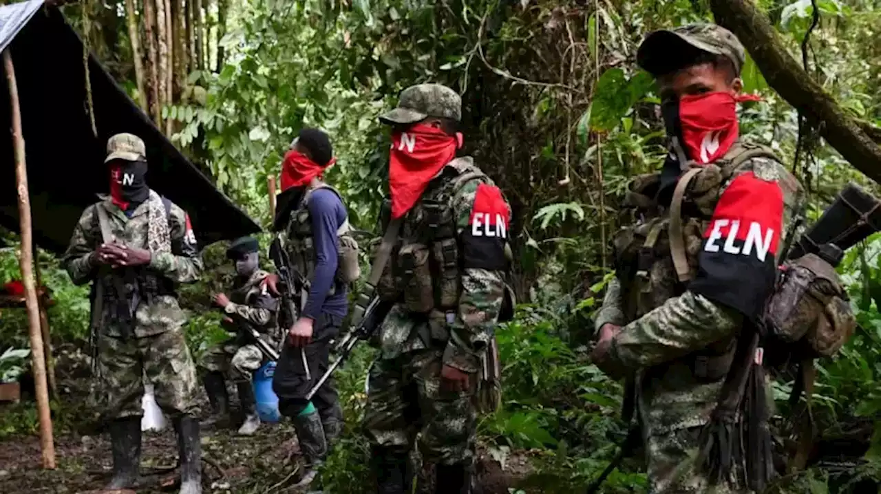 ELN anunció que detendrá sus acciones violentas contra la fuerza pública