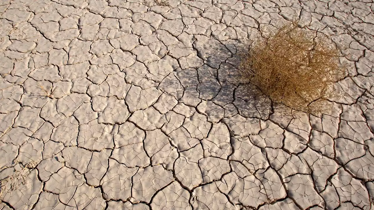 Wetterphänomen El Niño ist zurück - bleibt das gesamte Jahr