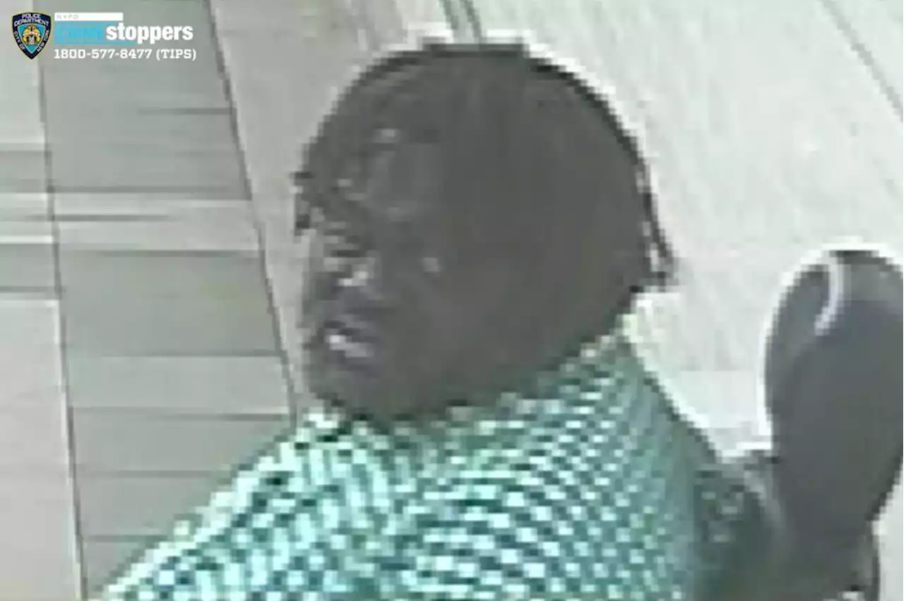 Good Samaritan NYC subway rider bludgeoned with a cane by man in a wheelchair: NYPD