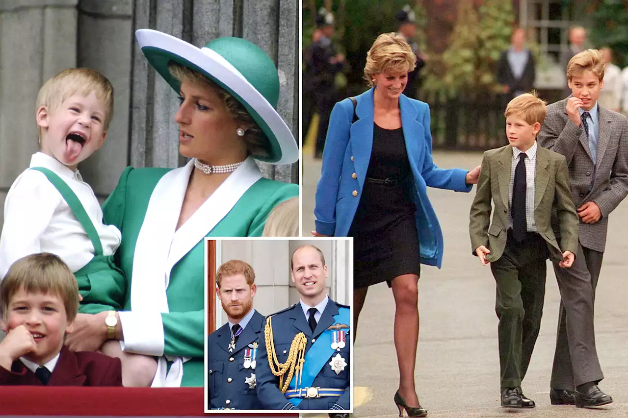 Princess Diana ‘only person’ who could mend Harry and William feud: royal expert