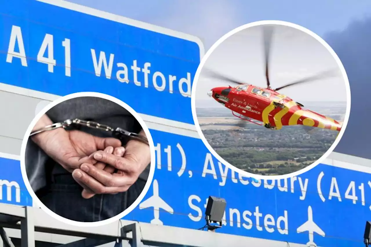 Dogs die in M25 tractor crash as woman airlifted to hospital