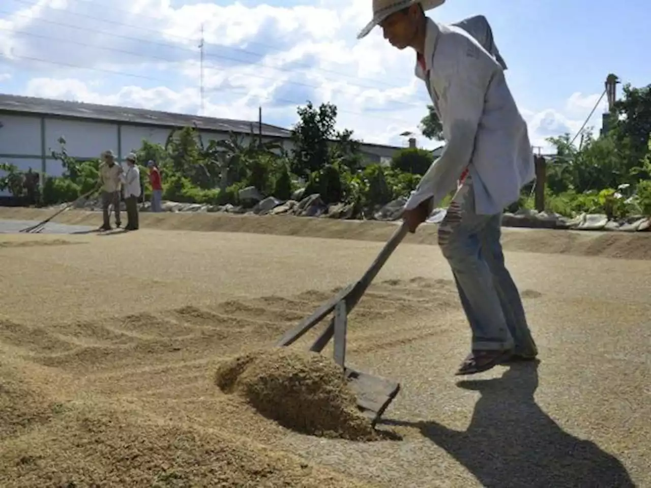 La UE busca convencer a Rusia de renovar acuerdo del grano