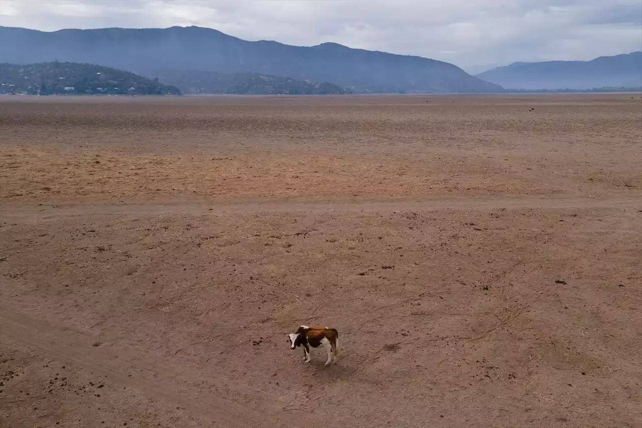 Vuelve el fenómeno El Niño: así afectará a las temperaturas a nivel global