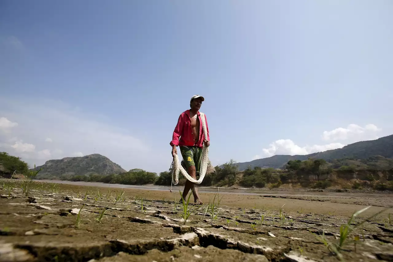 Temperatures seen surging as El Niño weather pattern returns – WMO