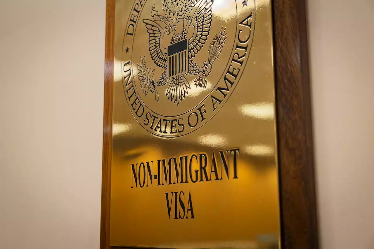 Visa justice: Border rules block poorer nations from world summits