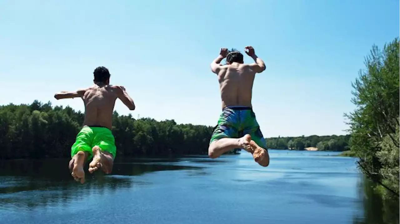 Lageso warnt vor Baden im Berliner Flughafensee