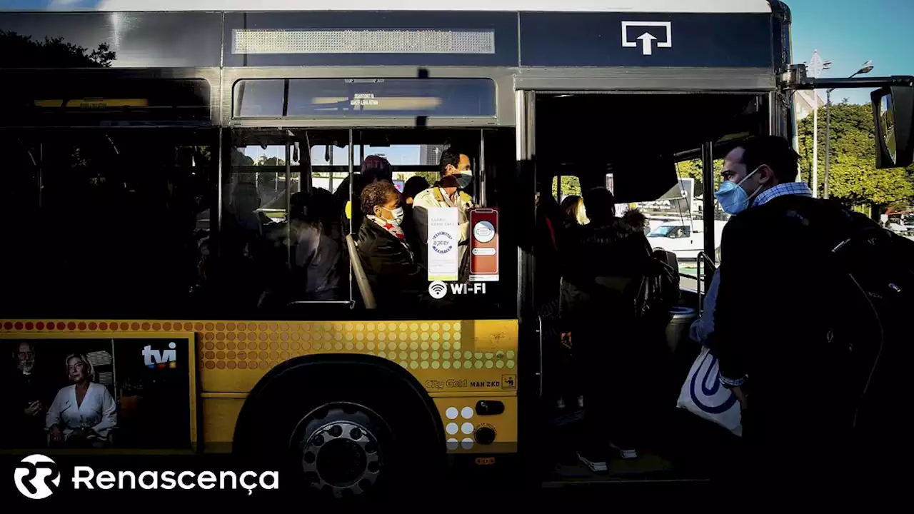 Reforço de 11% nos transportes públicos durante a JMJ - Renascença