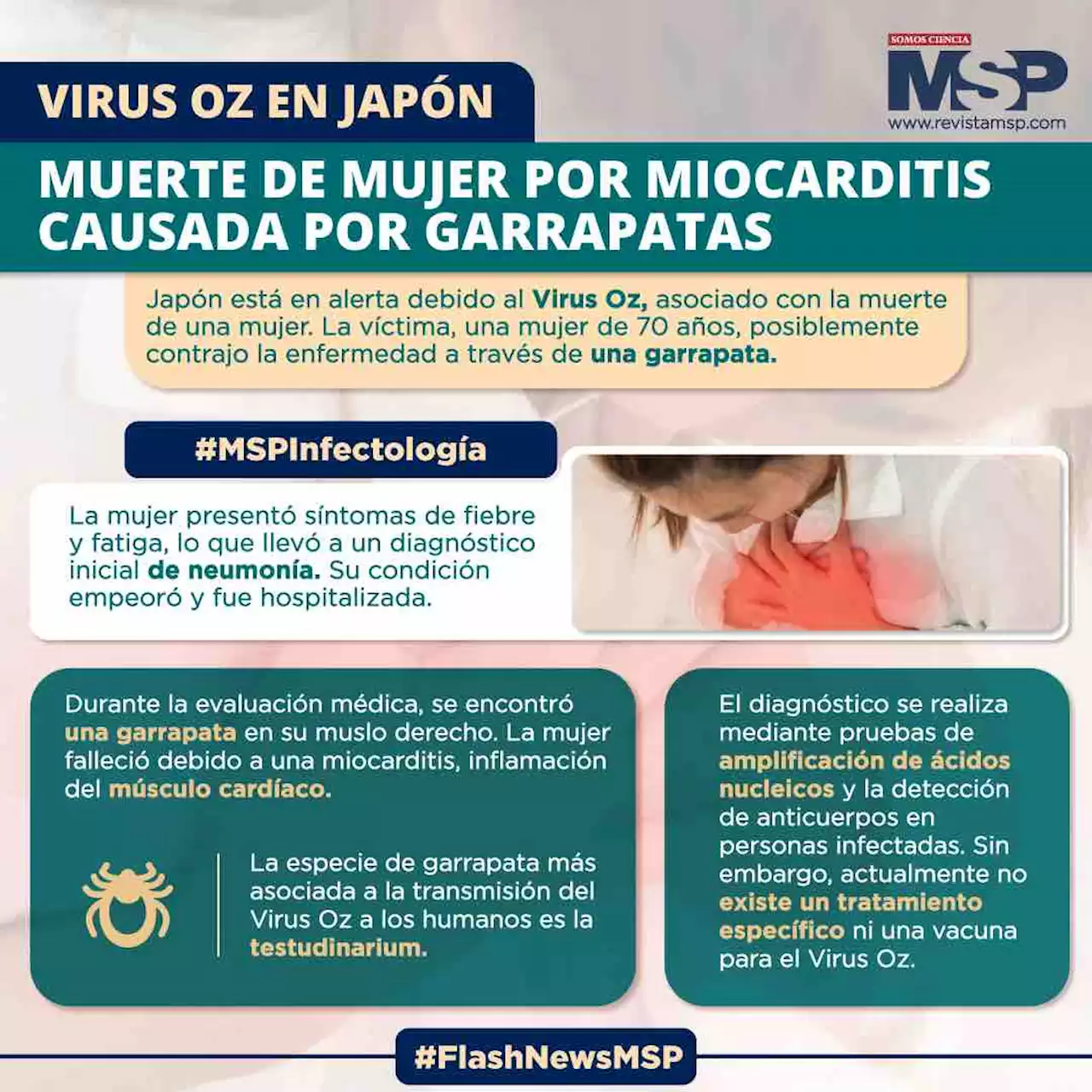 Virus Oz en Japón: Muerte de mujer por miocarditis causada por garrapatas