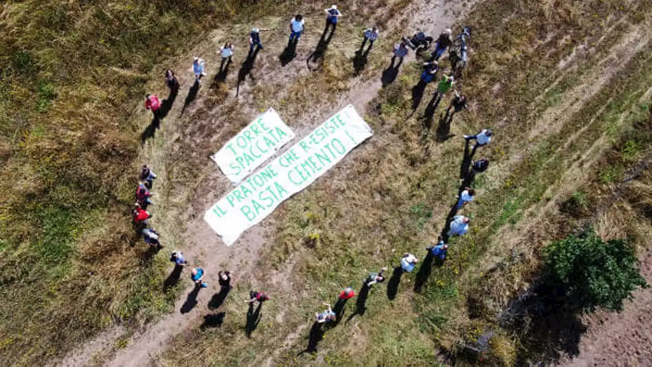 Pratone di Torre Spaccata, il WWF rilancia la delibera dei cittadini: “Diventi un parco”