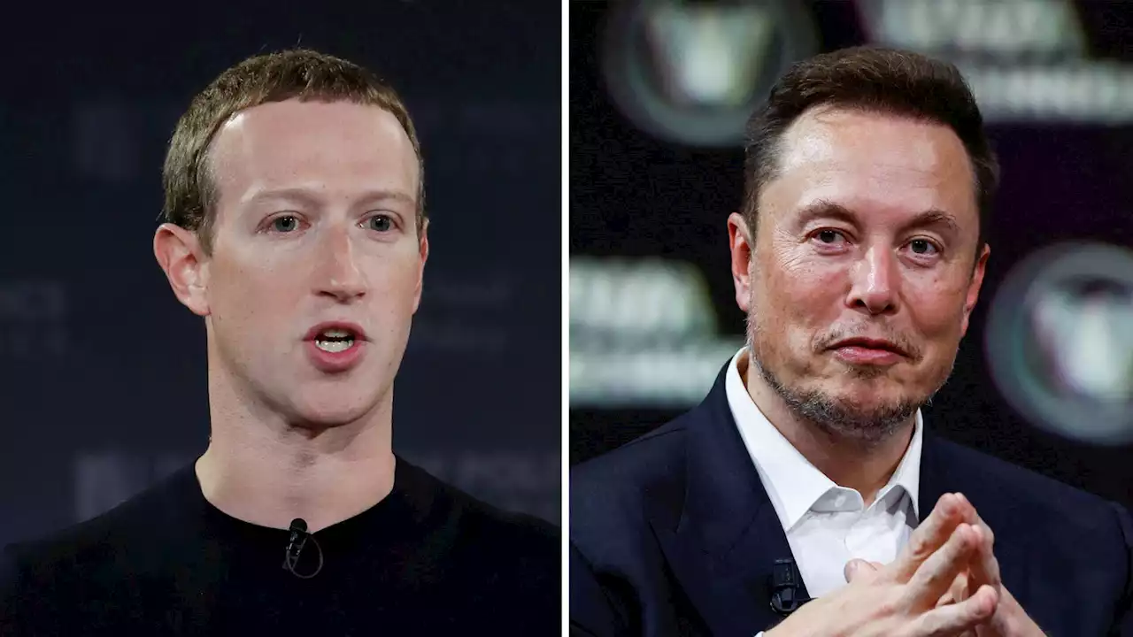 Mark Zuckerberg v Elon Musk: From Twitter to the Colosseum, how cage fight plan unfolded