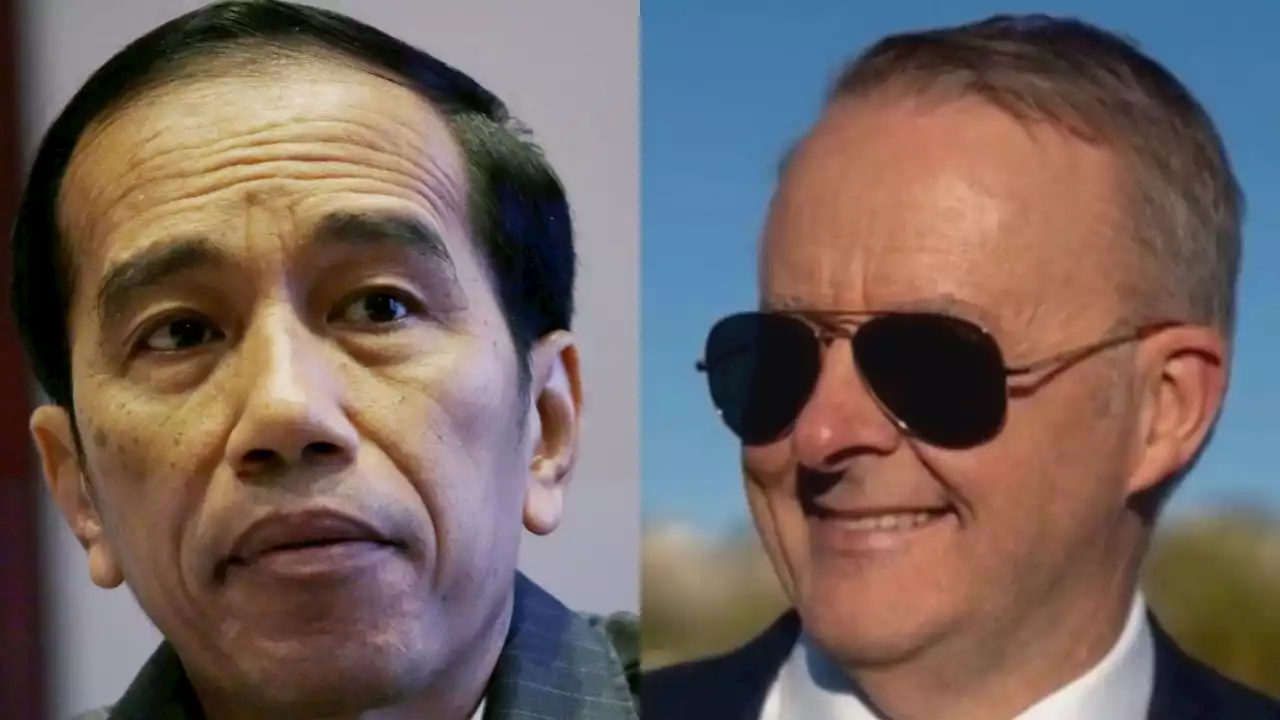 Anthony Albanese and Joko Widodo hold bilateral talks in Sydney