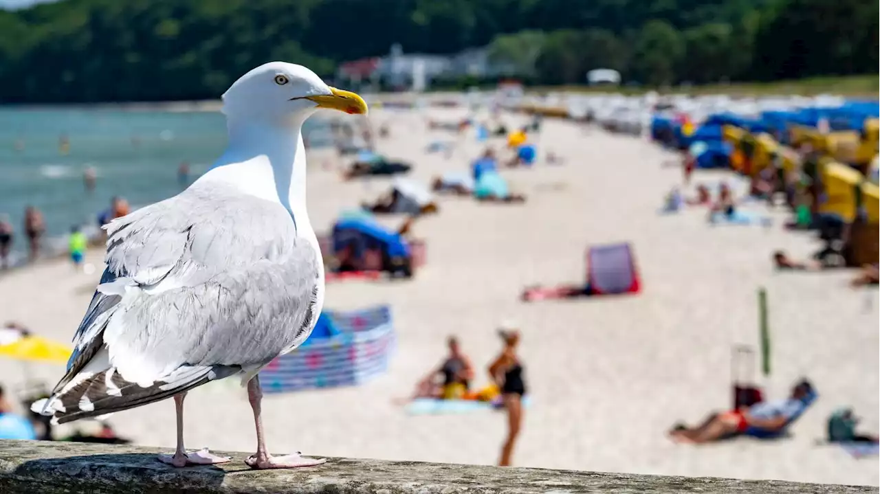 Mehr als 1,2 Millionen Besucher: Rügen war 2022 der Touristenmagnet unter den deutschen Inseln