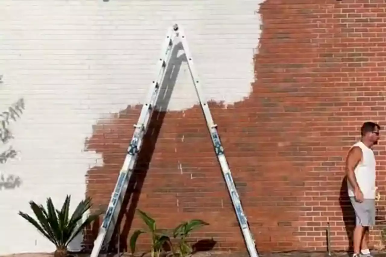 Couple fed up of their brick house paint it all white - they even did the trees