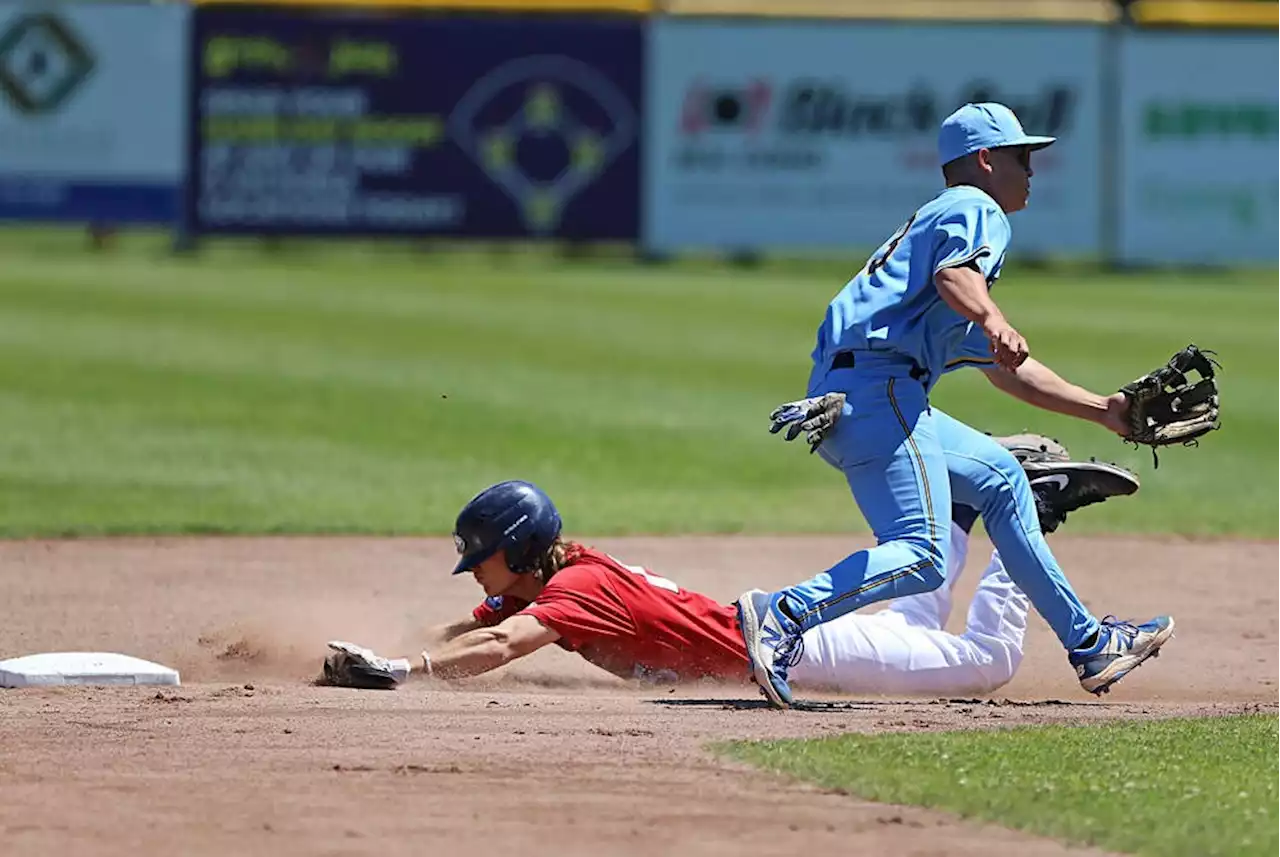 HarbourCats sweep Bells but need help to win WCL first-half North Division crown