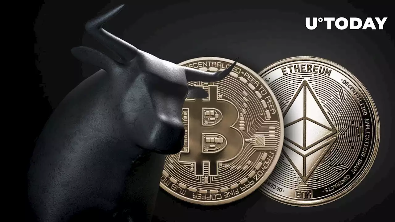 Giant Whales Bet Big on Ethereum (ETH) & Bitcoin (BTC), Sparking Market Optimism