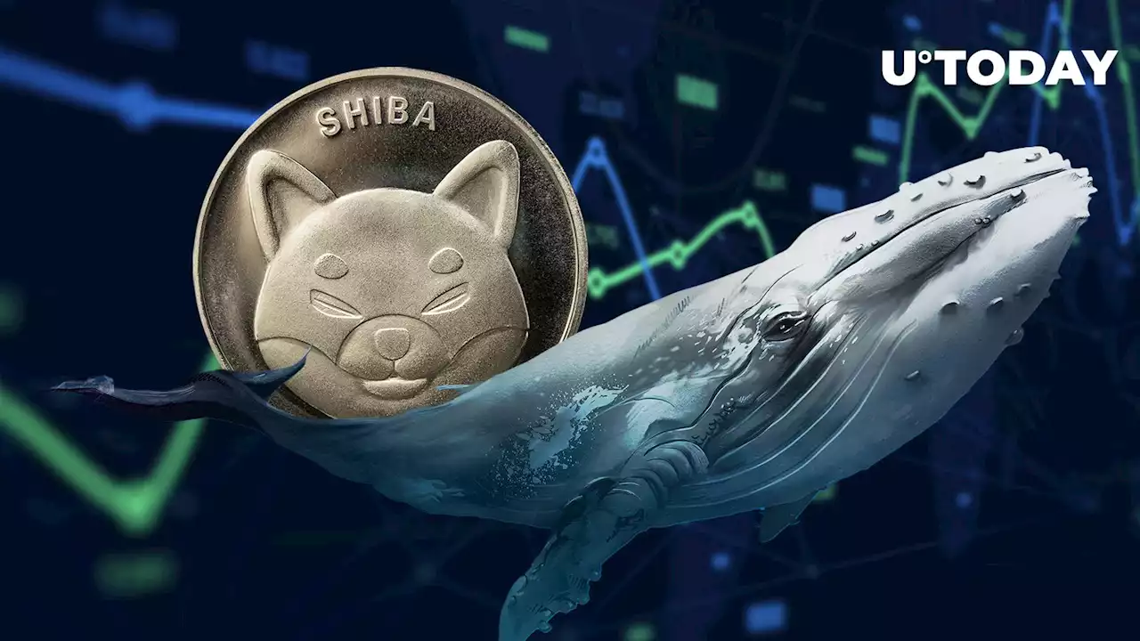 Shiba Inu (SHIB) Whales Trigger $8 Million Surge, But Here's Jaw-Dropping Twist