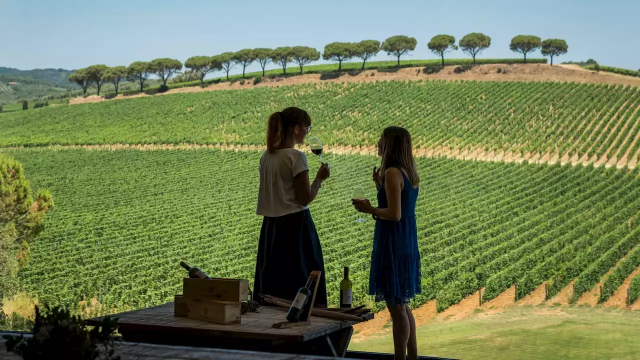 In Maremma, una giornata perfetta alla cantina Le Mortelle di Antinori