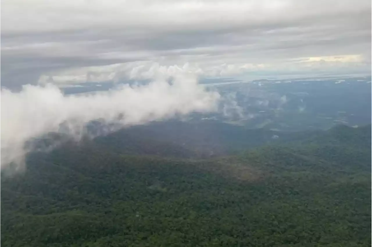 Paraná: avião com três pessoas desaparece na Serra do Mar | Maquiavel