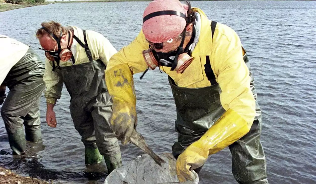 Spanish authorities seek damages from a Swedish mining company over a major toxic spill 25 years ago