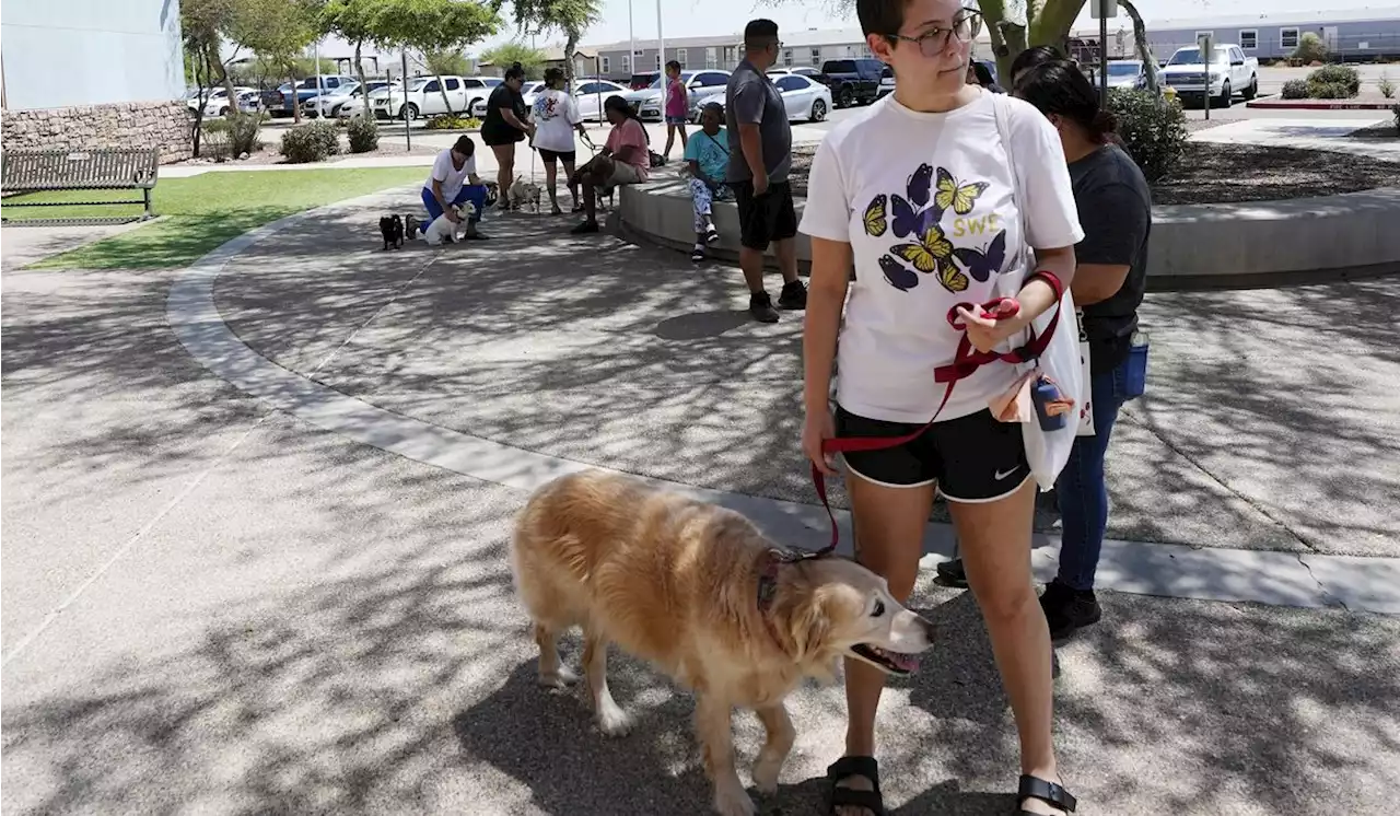 ThunderShirts, dance parties and anxiety meds can help ease dogs’ July Fourth dread