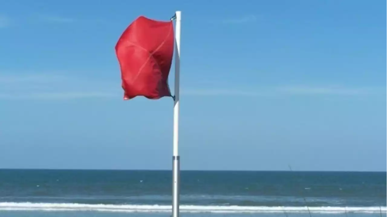 Thieves are stealing warning flags along Gulf beaches where 11 have drowned since June 1