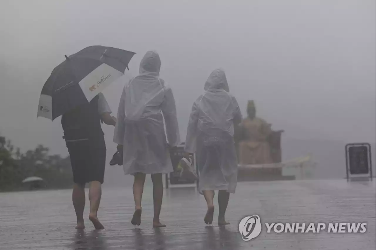 밤사이 최대 시간당 70㎜ '집중호우'…해안 저지대 침수 유의 | 연합뉴스