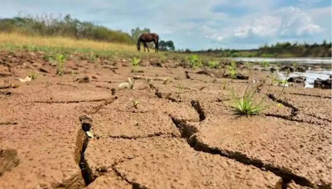 El fenómeno de El Niño puede acentuar la inseguridad alimentaria y las infecciones