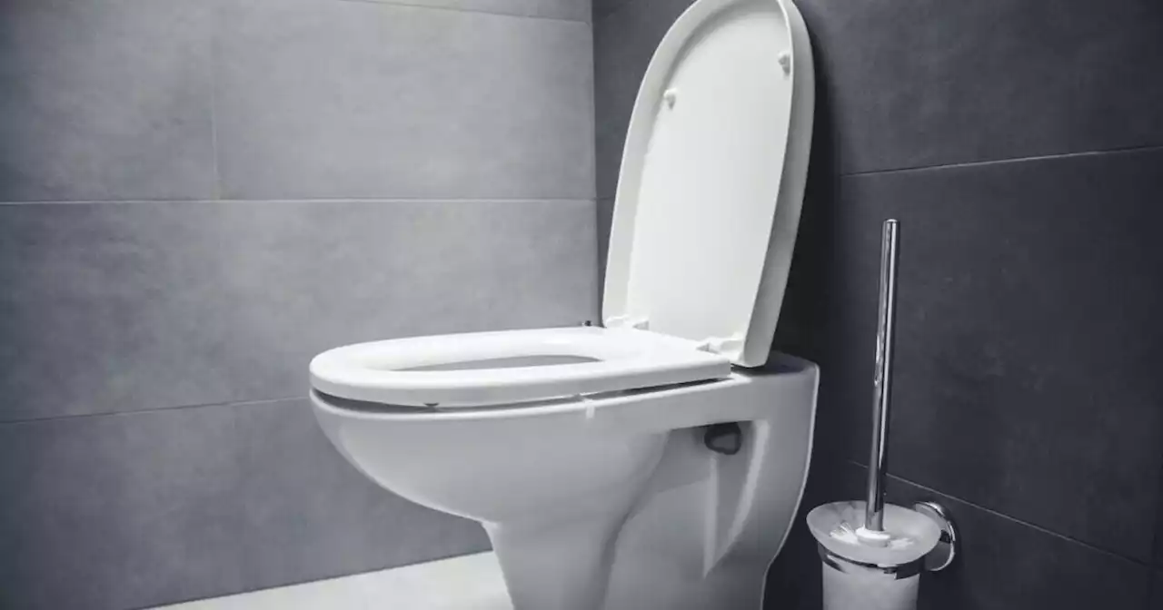 These innovative toilets can raise and lower their own seats