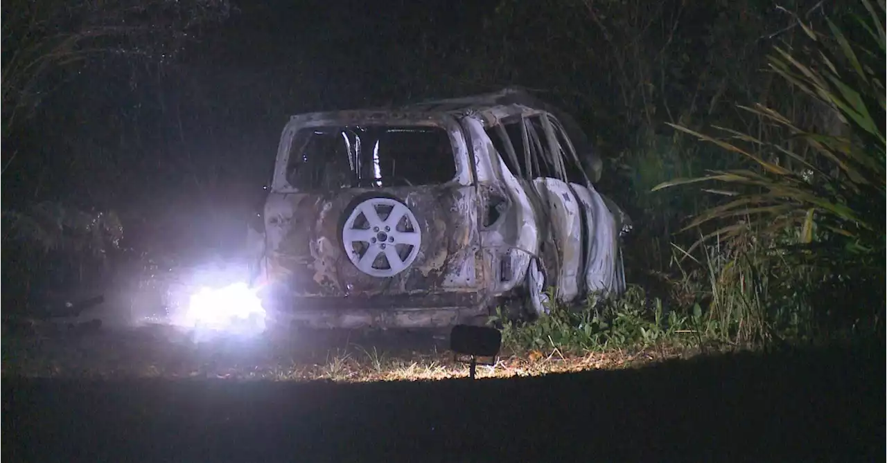 Public help sought over skeletal remains found in burning car