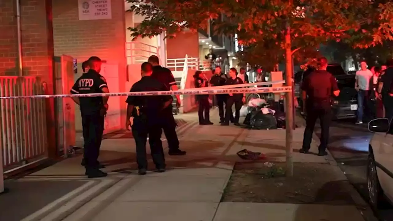 2 dead, 7 wounded in overnight shootings across New York City