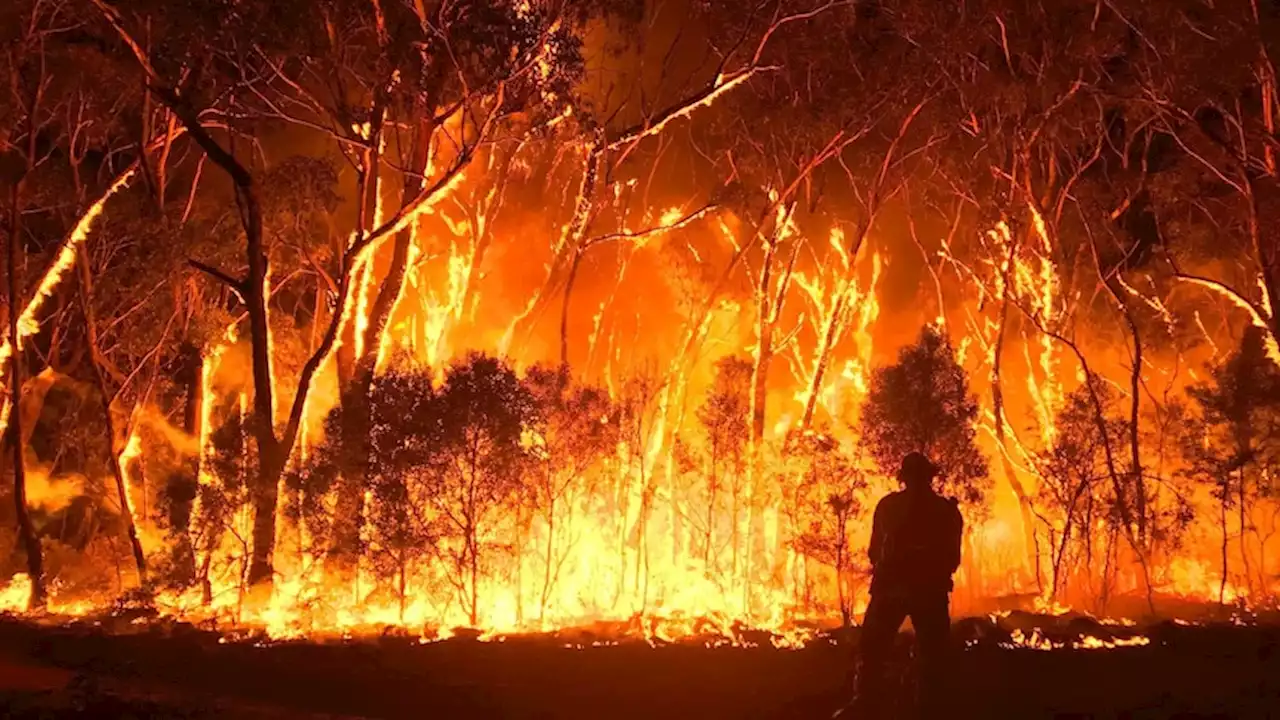 The world just had its hottest day on record, initial data shows — and experts say it's only going to get hotter