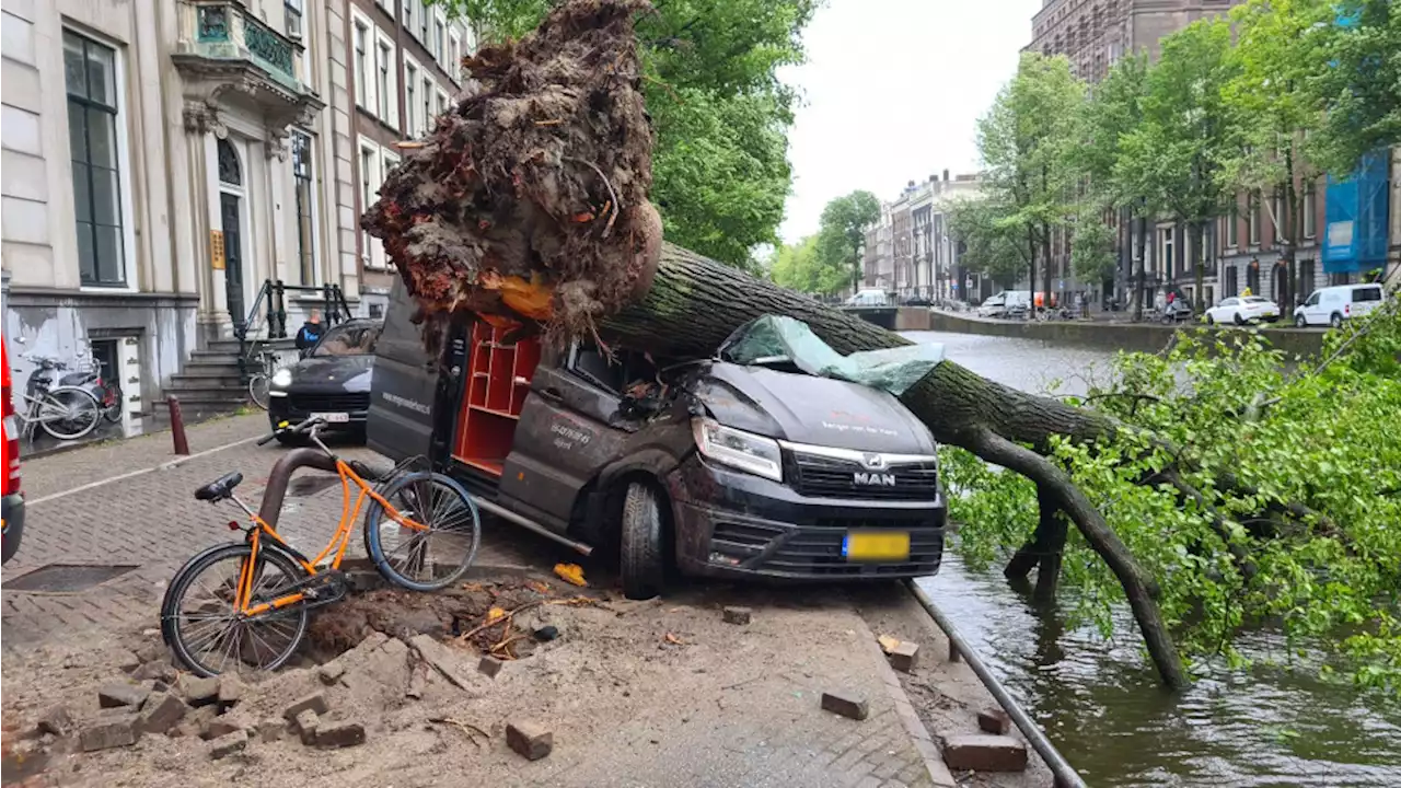 Liveblog storm Poly: Enorme ravage in de stad door tientallen omgevallen bomen