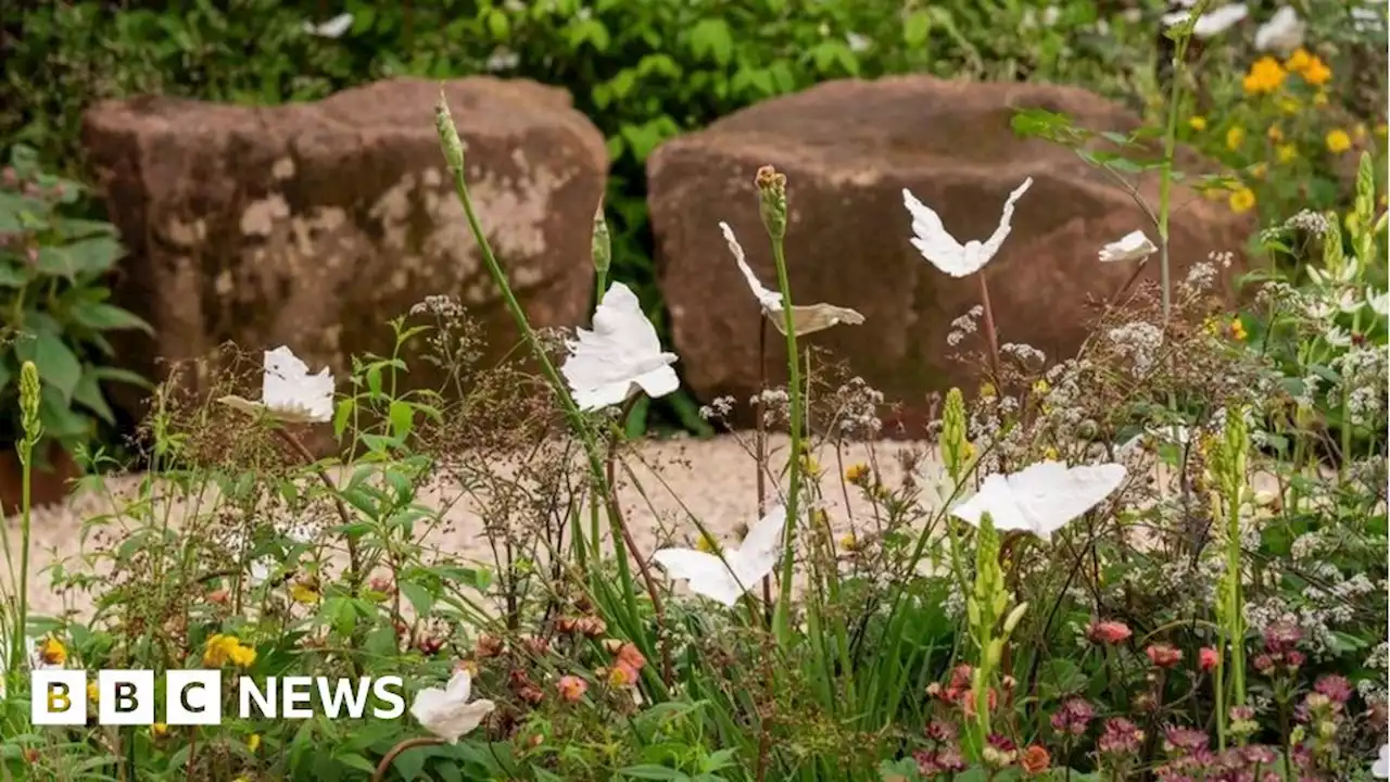 Chelsea Flower Show award-winning garden moved to community centre