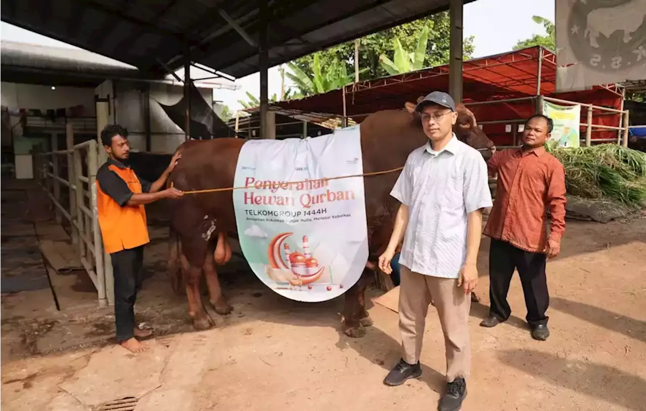 TelkomGroup Distribusikan Hewan Kurban ke Seluruh Indonesia