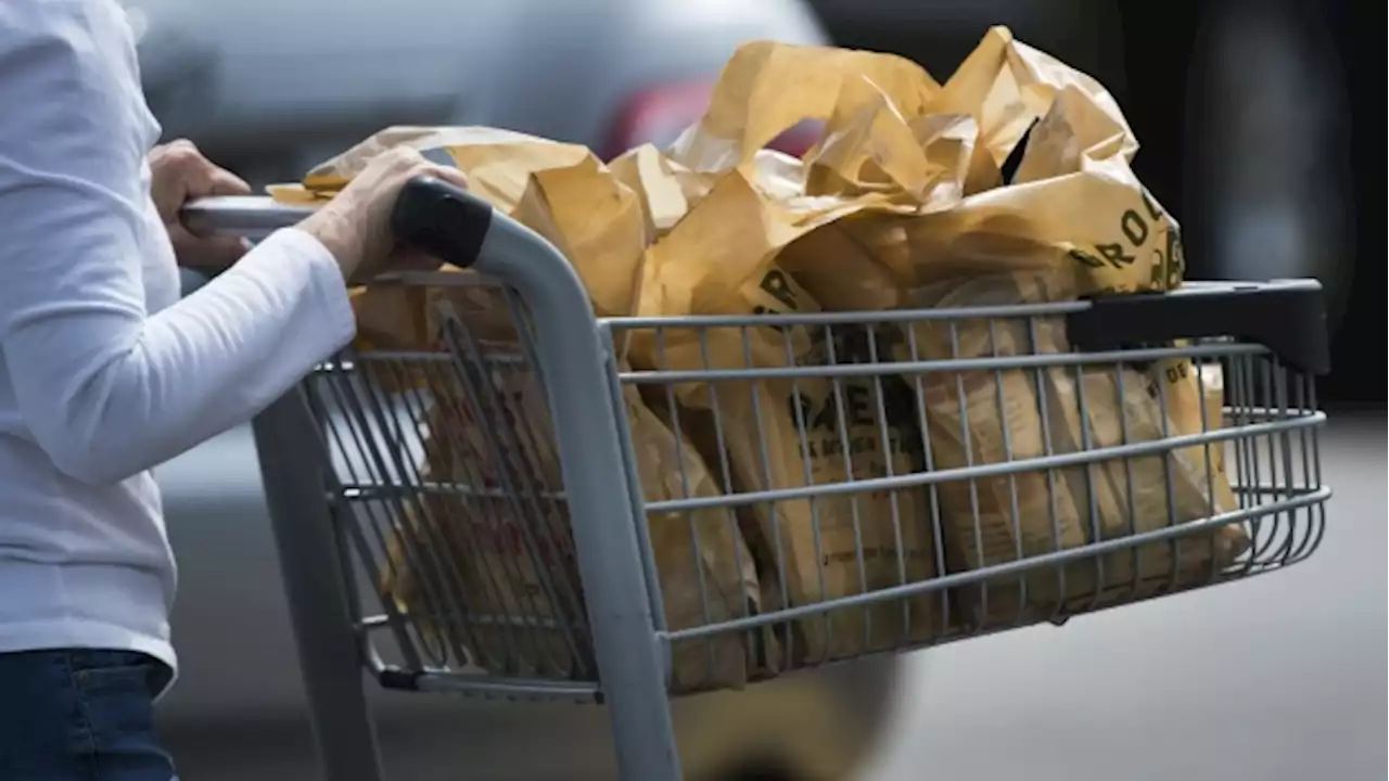 Canadians eligible for GST credit expected to receive 'grocery rebate' today - BNN Bloomberg